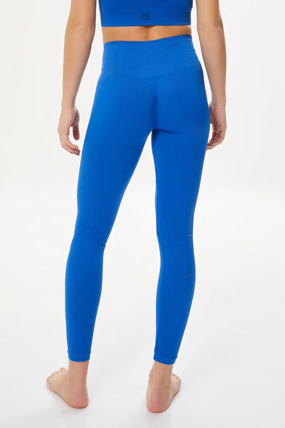 Rib-Shape Seamless Tayt Ocean Blue
